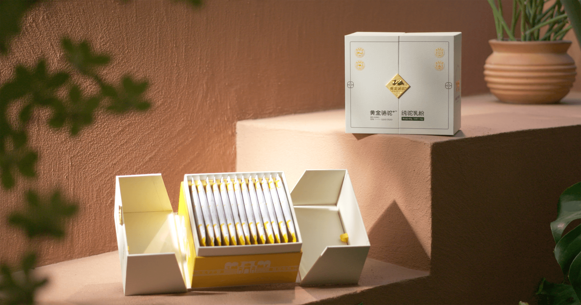 定位小众高端乳粉，918博天娱乐推出驼奶品牌“黄金骆驼+”，角逐乳品新市场！